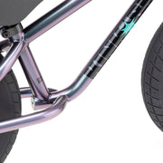 Coast 12" 2026